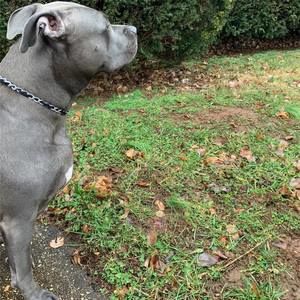 Meet your Posher, Trevon